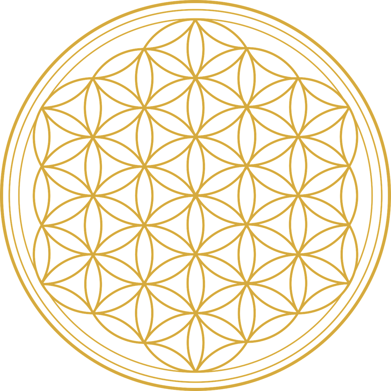 flower of life meaning